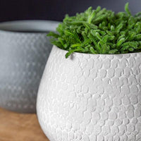 Thumbnail for Campania International Scalloped Planter - Grey and Eggshell Mix - S/8 Urn/Planter Campania International 