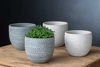 Thumbnail for Campania International Scalloped Short Round Planter - Grey and Eggshell Mix - S/8 Urn/Planter Campania International 
