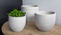 Thumbnail for Campania International Scalloped Tall Round Planter - S/3 Urn/Planter Campania International Eggshell 