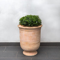 Thumbnail for Campania International Vaucluse Urn Urns Campania International Terra Cotta 