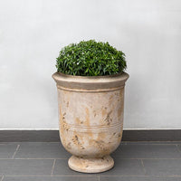 Thumbnail for Campania International Vaucluse Urn Urns Campania International Antico Terra Cotta 