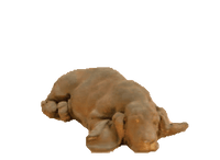 Thumbnail for Resting Puppy Cast Stone Outdoor Asian Collection Statues Tuscan 