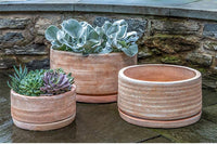 Thumbnail for Campania International Sgraffito Planter Planter Campania International Terra Cotta Low 