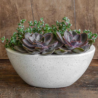 Thumbnail for Campania International Fiber Cement Geo Footed Planter - Terrazzo - (S/4) Urn/Planter Campania International Oval 