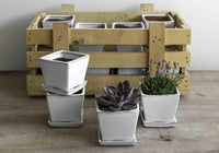 Thumbnail for Campania International Glazed Garden Terrace Small White Crate (S/16) Urn/Planter Campania International Square 