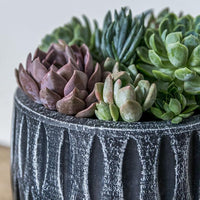 Thumbnail for Campania International Parabola Large Round Planter Urn/Planter Campania International 
