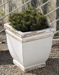 Thumbnail for Campania International Glazed Terra cotta Square Rolled Rim Urn/Planter Campania International 