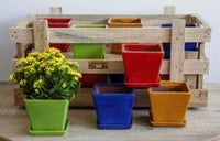 Thumbnail for Campania International Glazed Garden Terrace Brights Crate Urn/Planter Campania International Large 