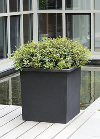 Thumbnail for Campania International Fiber Clay Lg Bardo Square Urn/Planter Campania International 