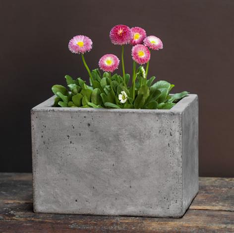 Campania International Fiber Cement Small Geo Planter Urn/Planter Campania International 