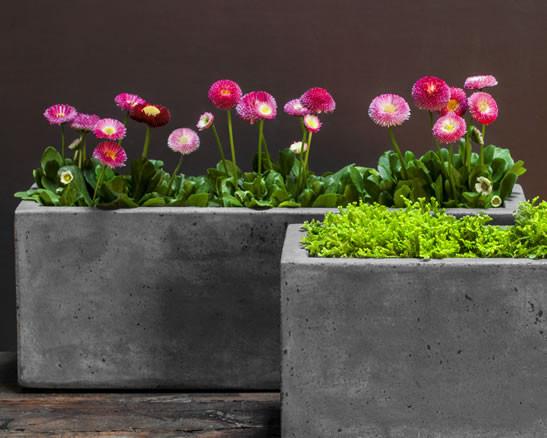 Campania International Fiber Cement Long Geo Planter Urn/Planter Campania International 