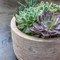 Thumbnail for Campania International Sgraffito Planter Planter Campania International 