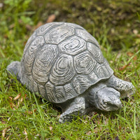 Thumbnail for Campania International Cast Stone Turtle Small Stone Series Campania International 