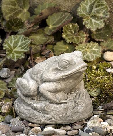 Campania International Cast Stone Tiny Frog Statuary Campania International 