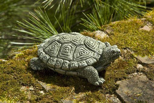 Campania International Cast Stone My Pet Turtle Statuary Campania International 