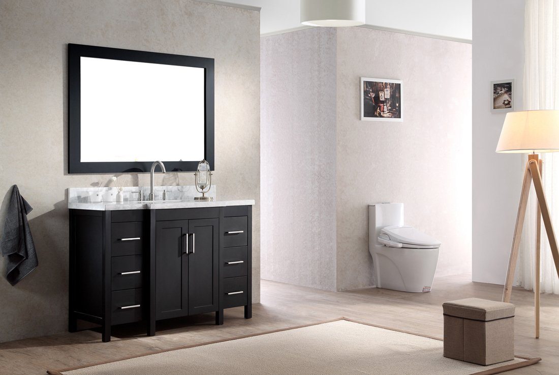 ARIEL Hollandale 49" Single Sink Bathroom Vanity Set in Black Vanity ARIEL 