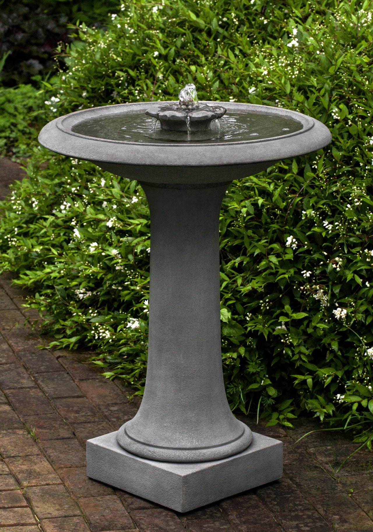 Campania International Cast Stone Camellia Birdbath Fountain Fountain Campania International 