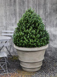 Thumbnail for Campania International Classic Rolled Rim Planter Urn/Planter Campania International 