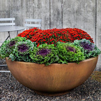 Thumbnail for Campania International Contour Low Bowl Planter Urn/Planter Campania International 