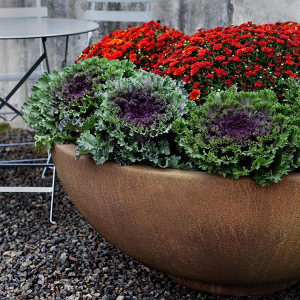 Campania International Contour Low Bowl Planter Urn/Planter Campania International 