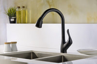 Thumbnail for ANZZI Accent Series KF-AZ031ORB Kitchen Faucet Kitchen Faucet ANZZI 
