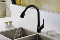 Thumbnail for ANZZI Accent Series KF-AZ031ORB Kitchen Faucet Kitchen Faucet ANZZI 