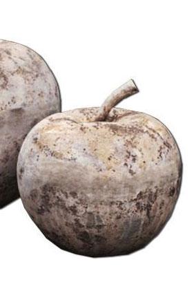 Campania International Terra cotta Rustic Apple Statuary Campania International 