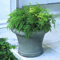 Thumbnail for Campania International Cast Stone Westport Planter Urn/Planter Campania International 