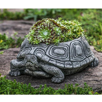 Thumbnail for Campania International Cast Stone Turtle Planter, Small Urn/Planter Campania International 