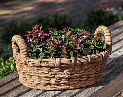 Campania International Cast Stone Provencal Basket Planter Urn/Planter Campania International 