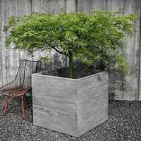 Thumbnail for Campania International Cast Stone Chênes Brut Box Planter Urn/Planter Campania International 