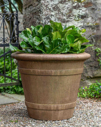 Thumbnail for Campania International Certosa Planter Urn/Planter Campania International 