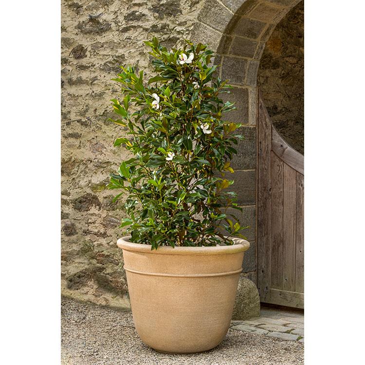 Campania International Carema Planter, XLG Urn/Planter Campania International 