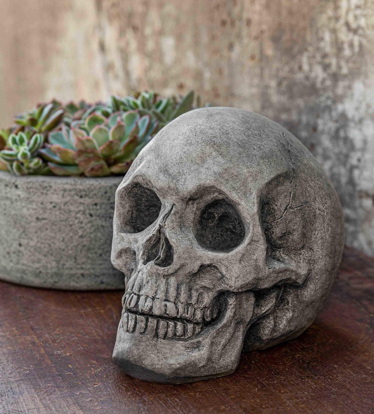Campania International Cast Stone Alas Poor Yorick Stone Series Campania International 