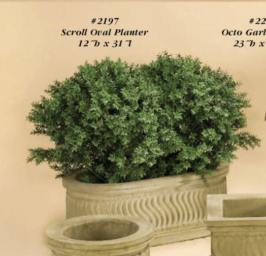 Scroll Planter Cast Stone Outdoor Garden Planter Planter Tuscan 