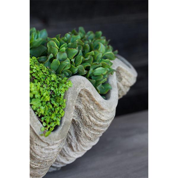 Campania International South Seas Shell Planter, Large Urn/Planter Campania International 