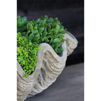 Thumbnail for Campania International South Seas Shell Planter, Large Urn/Planter Campania International 