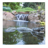 Thumbnail for Fish Care AI93000 Floating Alligator Decoy Garden - Fish Ponds Blue Thumb 