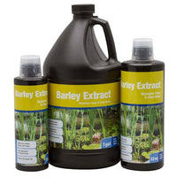 Thumbnail for Barley Extract - PB27barleygrp Garden - Fish Ponds Blue Thumb 