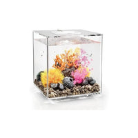 Thumbnail for BiOrb Cube 60 LED Aquarium Blue Thumb 