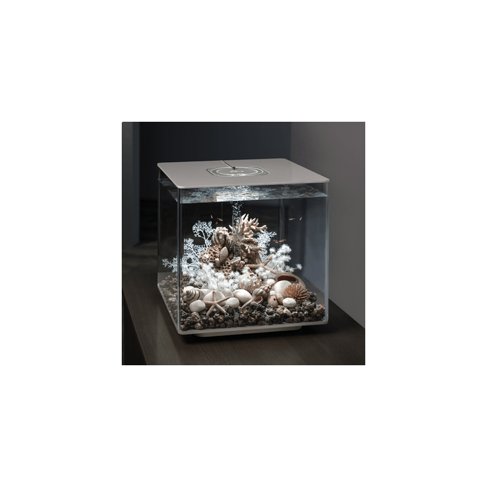 BiOrb Cube 60 MCR Aquarium Blue Thumb 