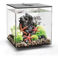 Thumbnail for BiOrb Cube 60 LED Aquarium Blue Thumb 