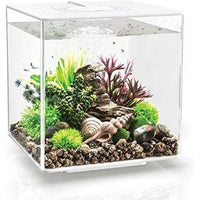 Thumbnail for BiOrb Cube 60 LED Aquarium Blue Thumb 