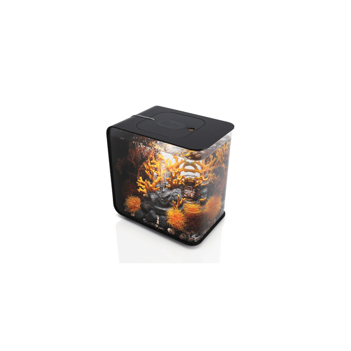 BiOrb FLOW 30 LED Aquarium Blue Thumb 