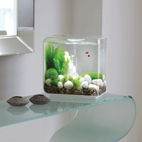 Thumbnail for BiOrb FLOW 30 LED Aquarium Blue Thumb 