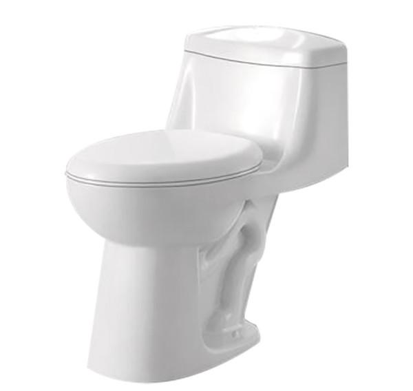 ANZZI Templar T1-AZ061 Toilets Toilets ANZZI 