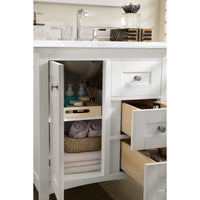 Thumbnail for James Martin Palisades 30