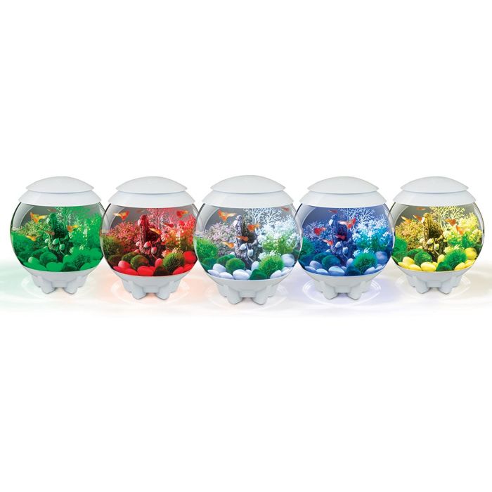 BiOrb HALO 60 MCR Aquarium Blue Thumb 